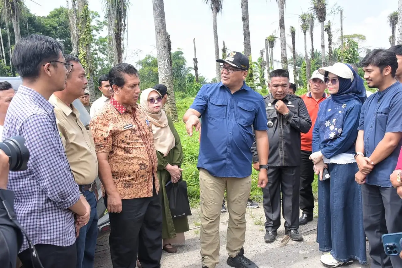 Bupati Borong Cabai Petani, Saat Berjemur di Kutalimbaru
