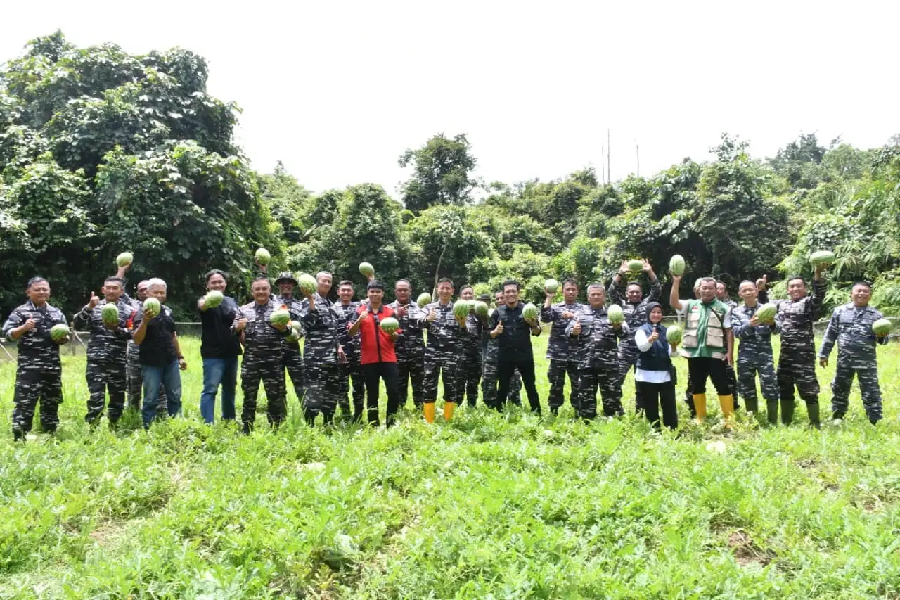 Lanal Sibolga Gelar Panen Raya Semangka Tahap II di Lahan Ketahanan Pangan Pos Labuhan Angin