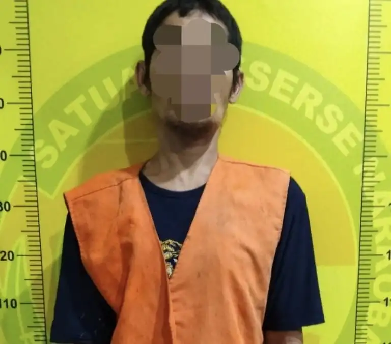 Bekuk Pengedar Narkoba, Satres Narkoba Polresta Deli Serdang amankan Barang Bukti