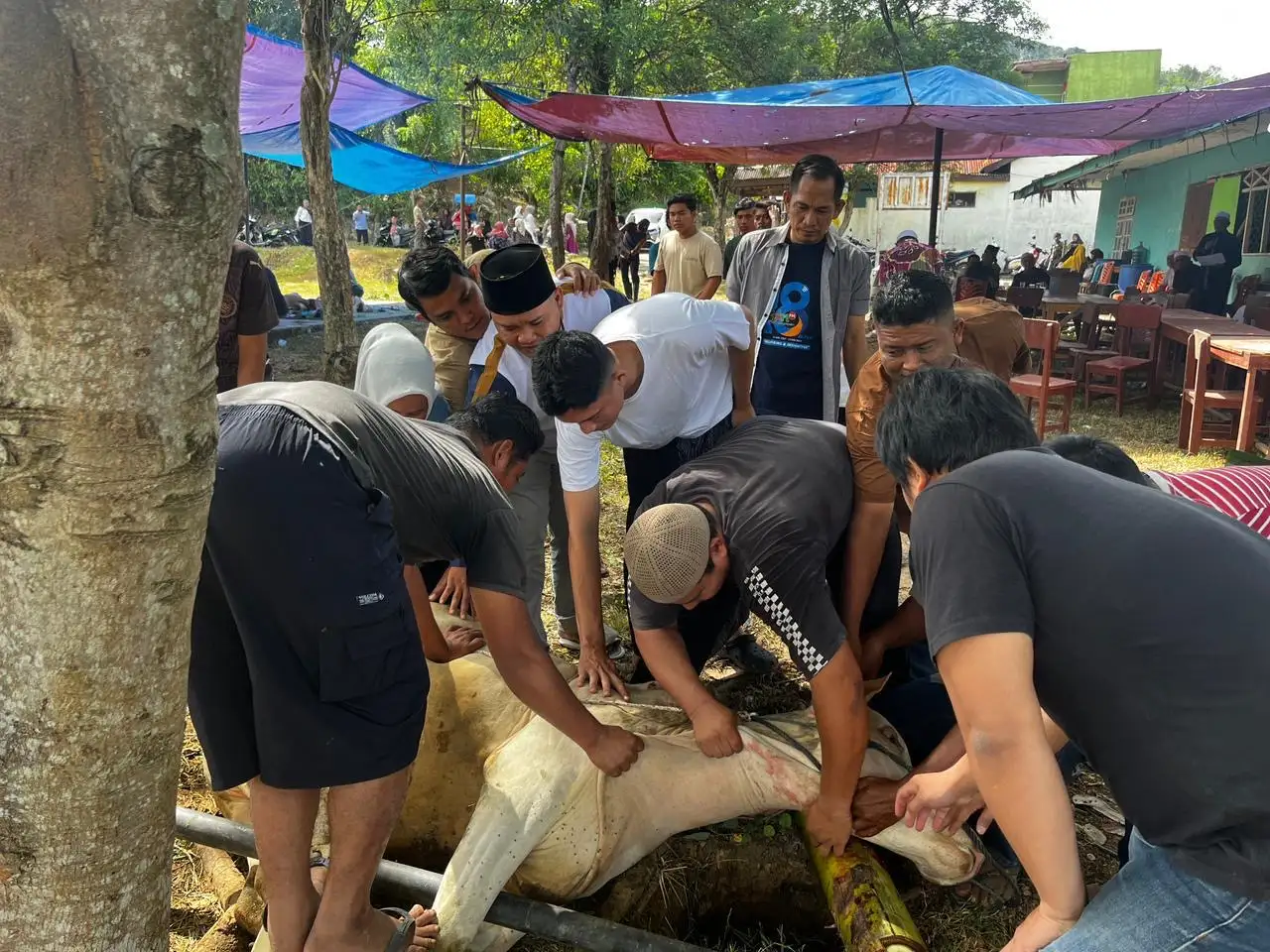 SMSI Madina Laksanakan Qurban di Masjid Madinatul Mukhlisin