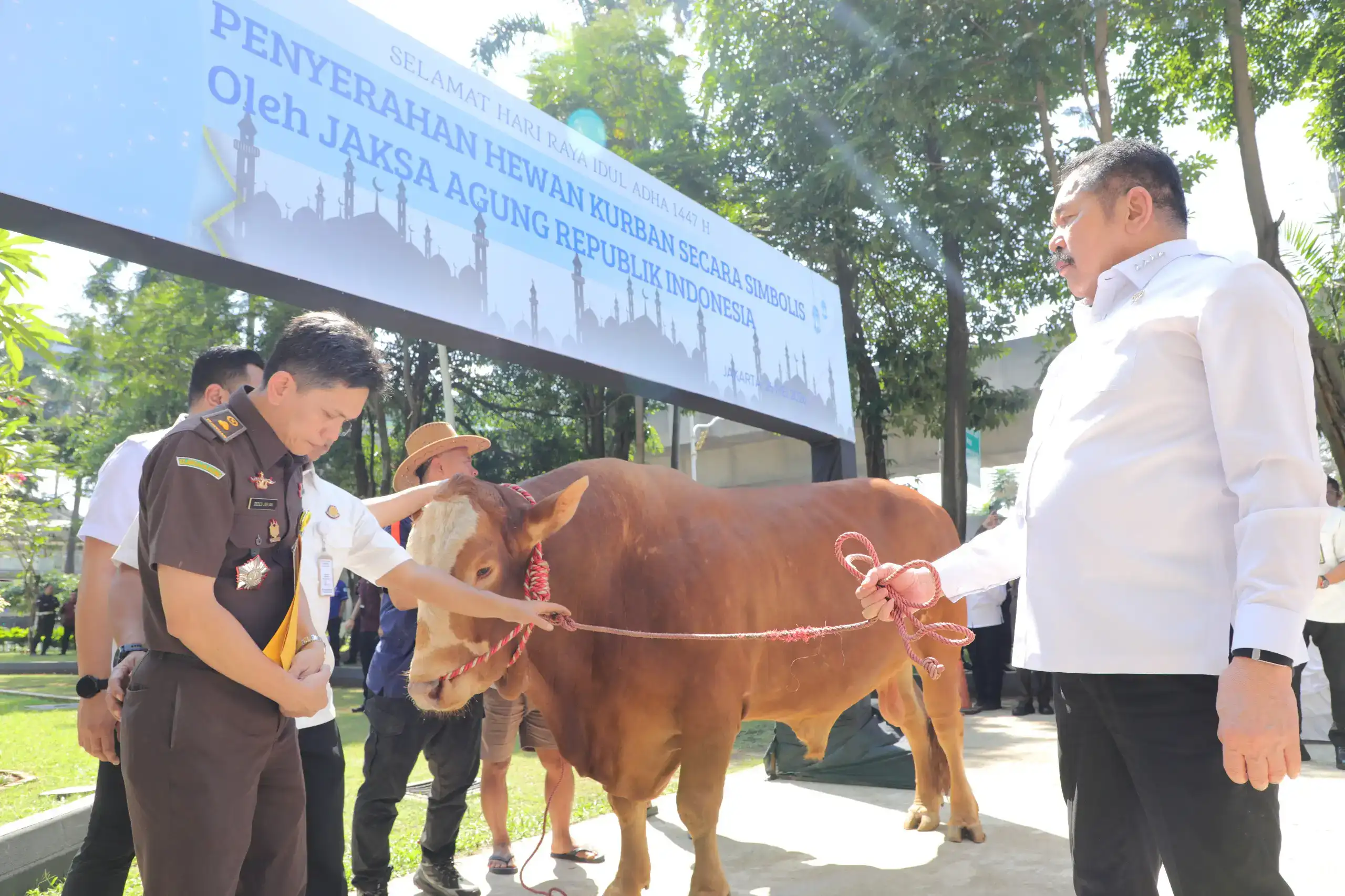 Simbolis 1 Ekor, Kepala Kejaksaan Agung berikan 57 ekor sapi qurban