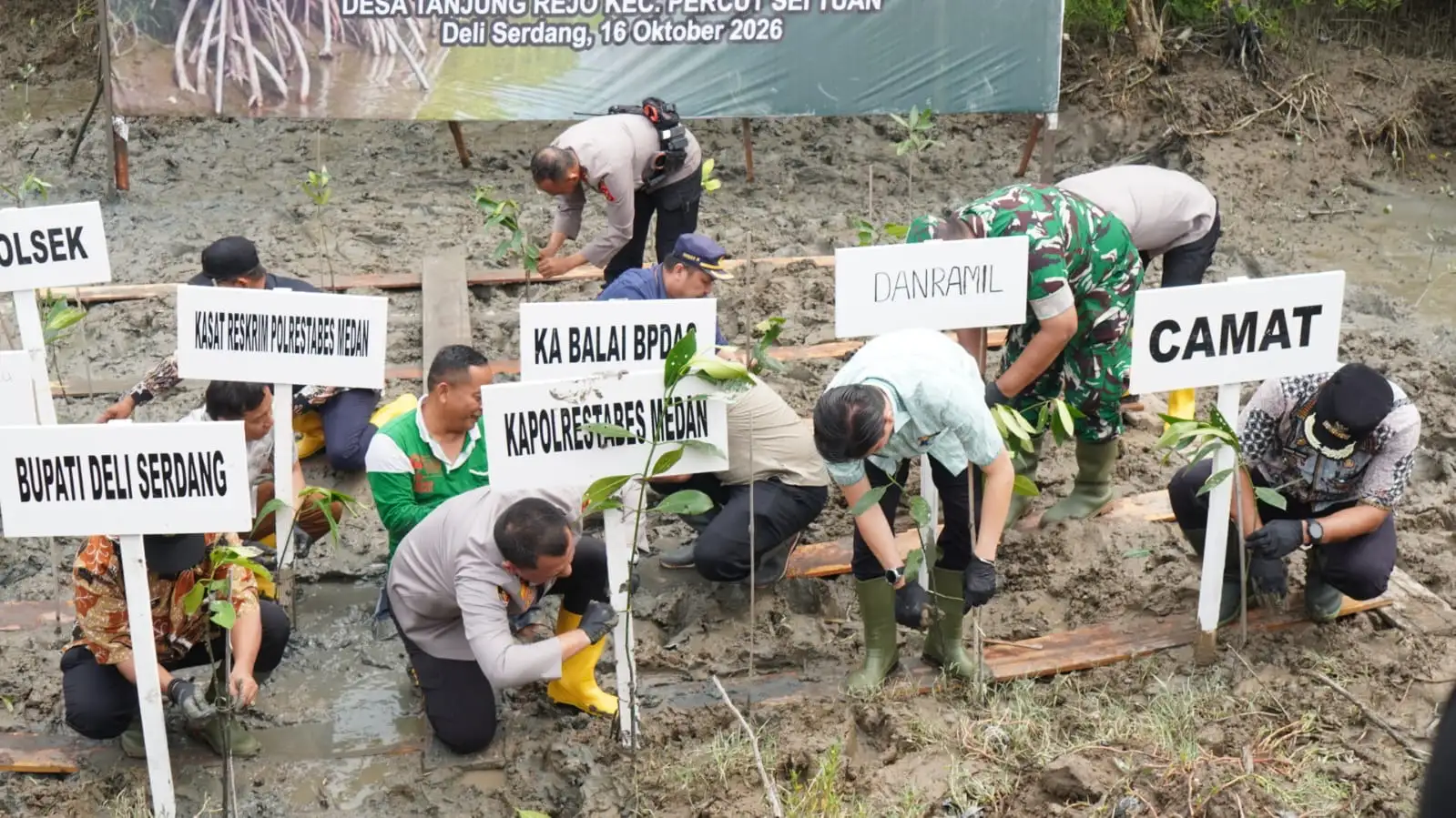 Bupati Deli Serdang Dukung Pelestarian Pesisir Lewat Penanaman 1.994 Mangrove