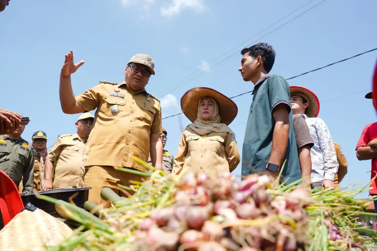 Bupati Asri Ludin Panen Bawang Merah di Beringin, Dorong Swasembada dan Jamin Kepastian Pasar Petani