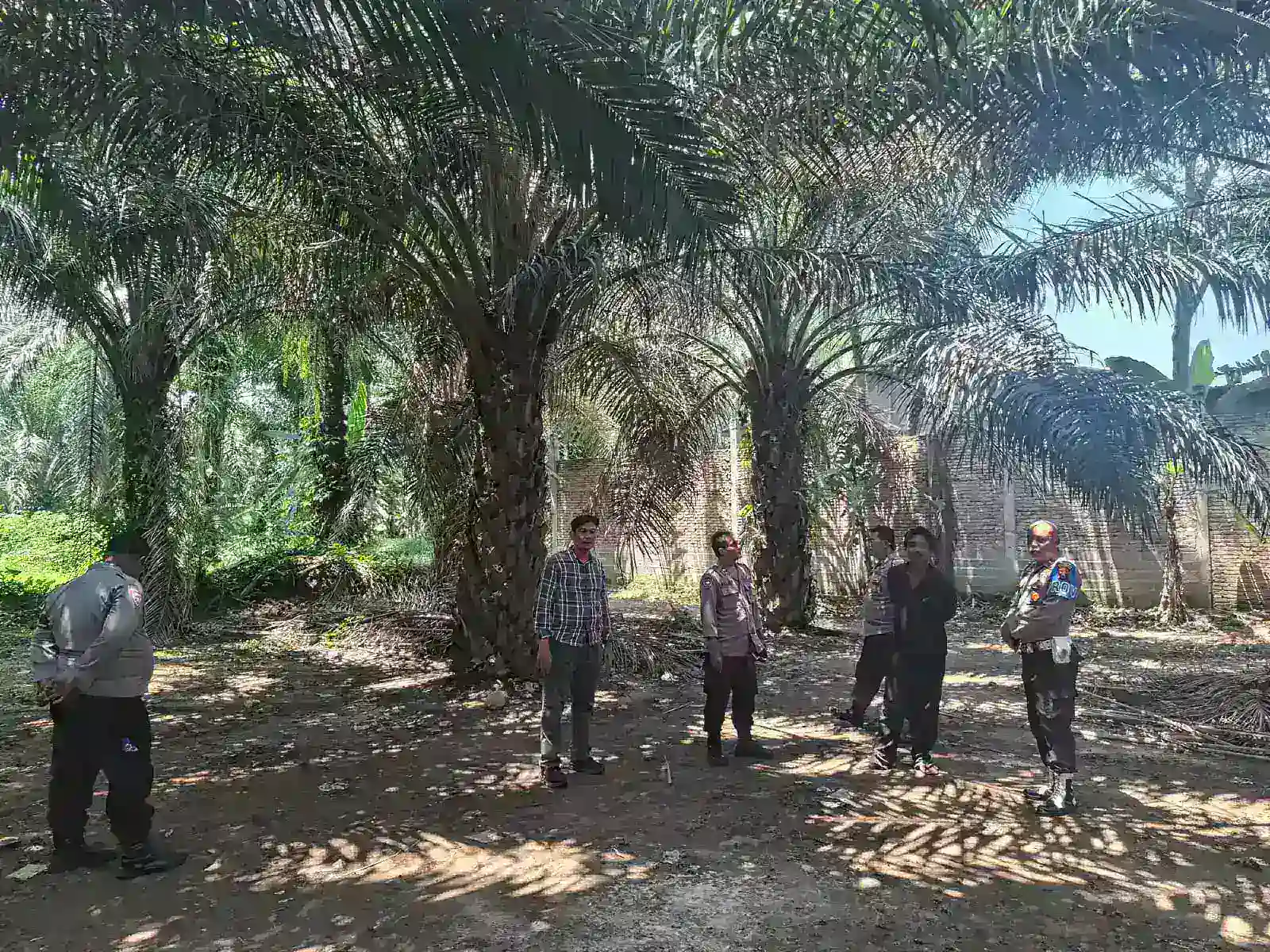 Tindak Lanjuti Info Lokasi Sabung Ayam Dari Media, Saat di Cek Nihil