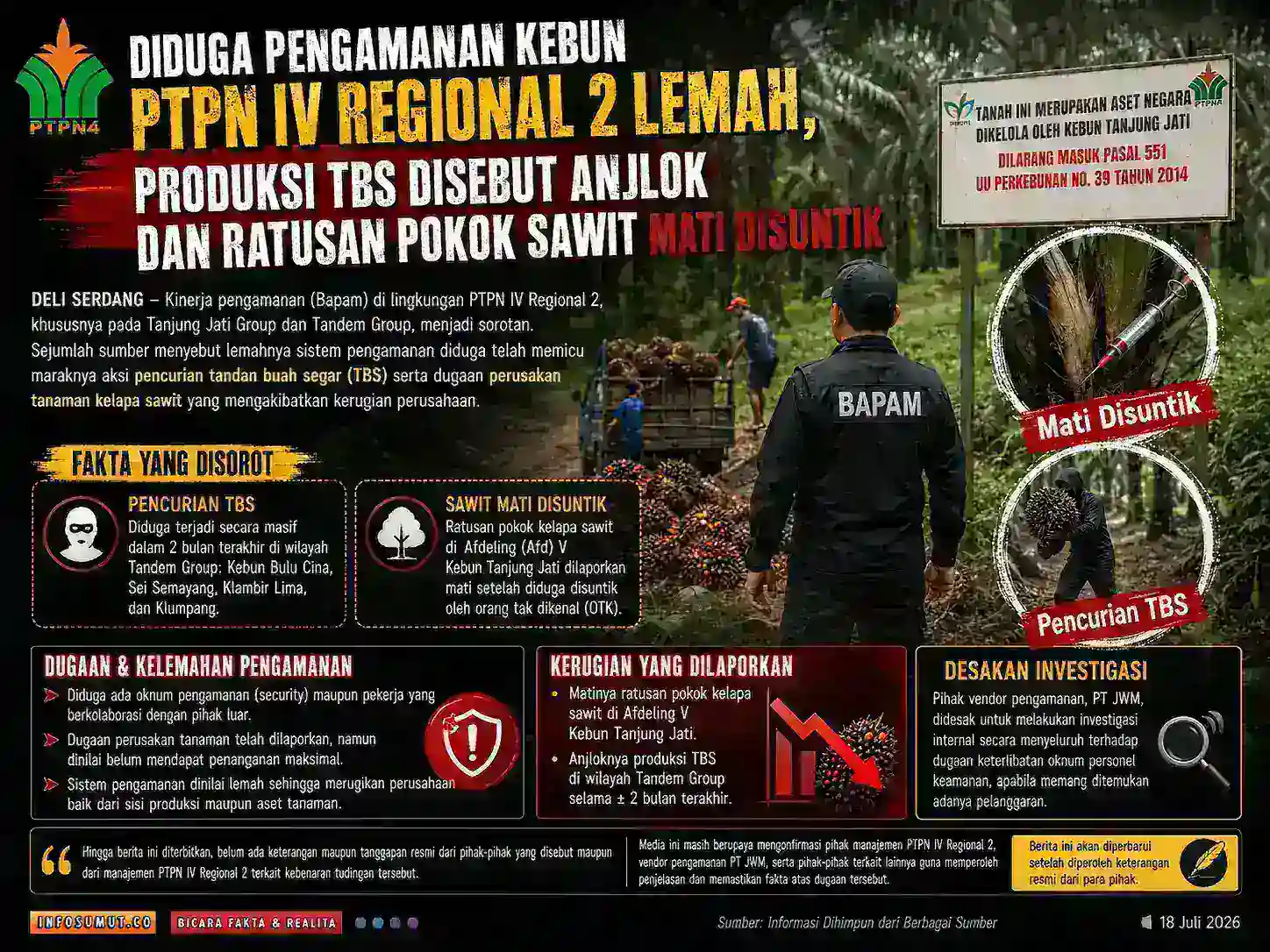 Produksi TBS Disebut Anjlok dan Ratusan Pokok Sawit Mati Disuntik, Diduga Pengamanan Kebun PTPN IV Regional 2 Lemah