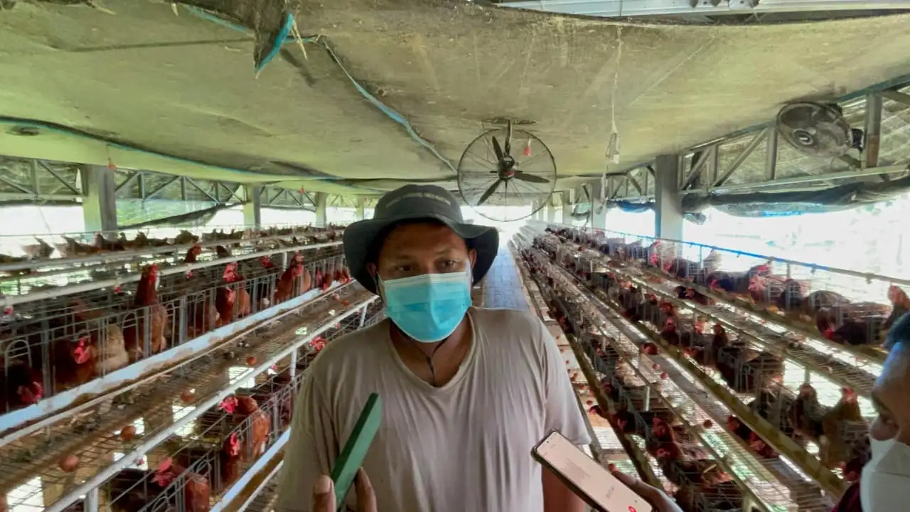 PTAR Kembangkan Martabe Farm, Dorong Ketahanan Pangan dan Kemandirian Ekonomi Masyarakat
